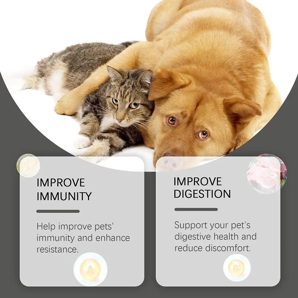 Dog Probiotic Supplement Pet Food Additive For Dogs Cats