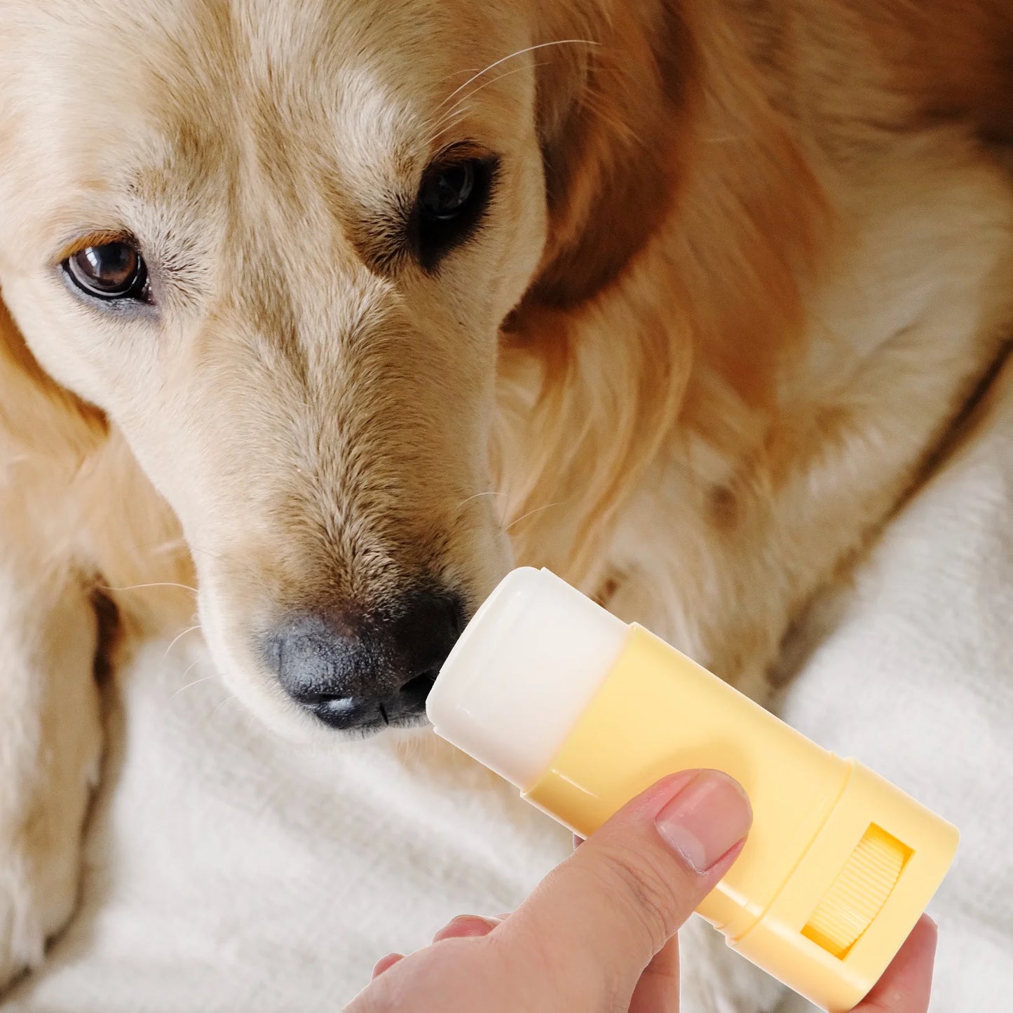 Dog Balm Pet Foot Cream Beeswax Supplement Moisturizer