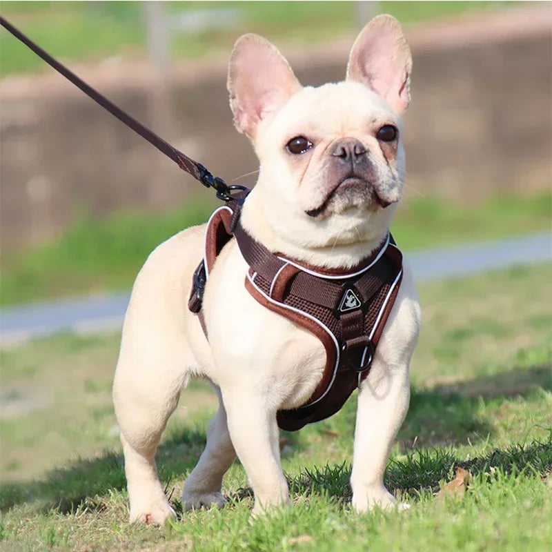 No Pull Dog Harness and Leash Set Adjustable Pet Harness Vest For Small Dogs Cats Reflective Mesh