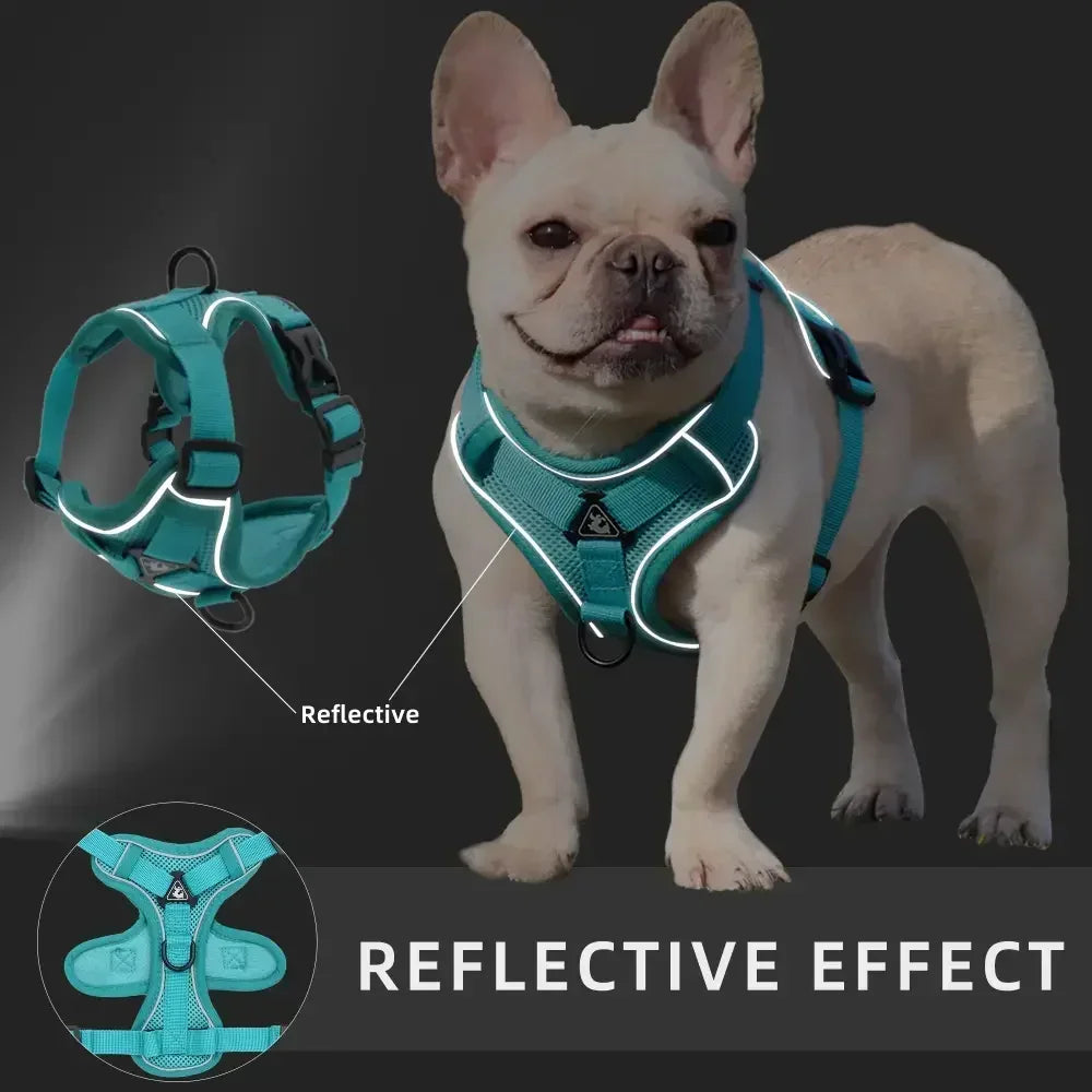 No Pull Dog Harness and Leash Set Adjustable Pet Harness Vest For Small Dogs Cats Reflective Mesh