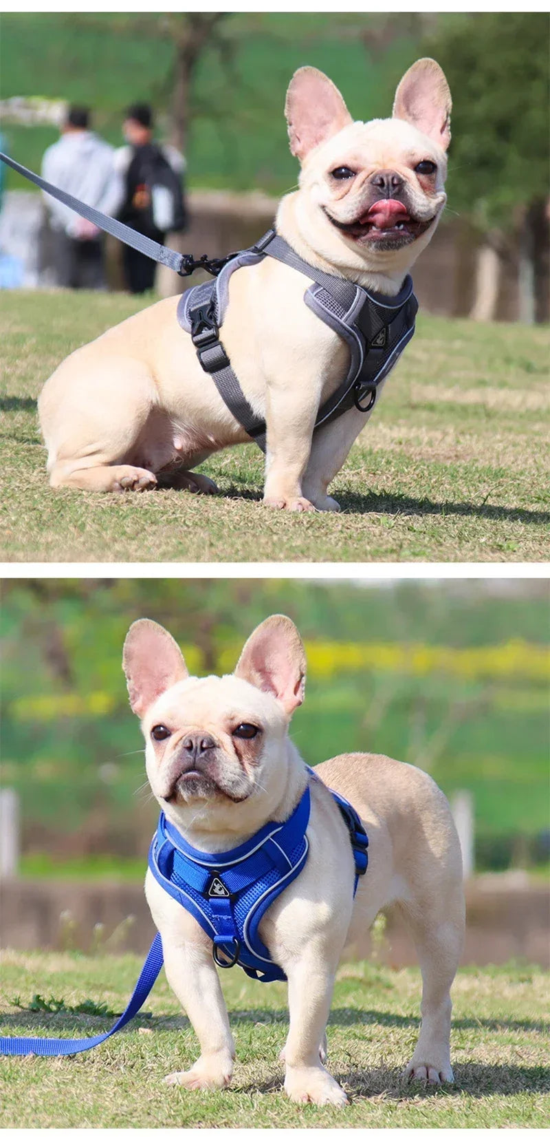 No Pull Dog Harness and Leash Set Adjustable Pet Harness Vest For Small Dogs Cats Reflective Mesh