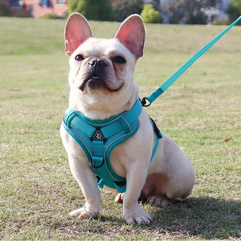 No Pull Dog Harness and Leash Set Adjustable Pet Harness Vest For Small Dogs Cats Reflective Mesh