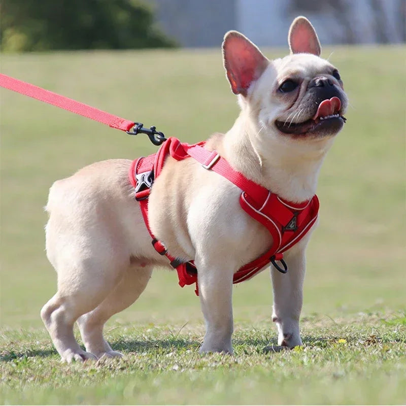 No Pull Dog Harness and Leash Set Adjustable Pet Harness Vest For Small Dogs Cats Reflective Mesh