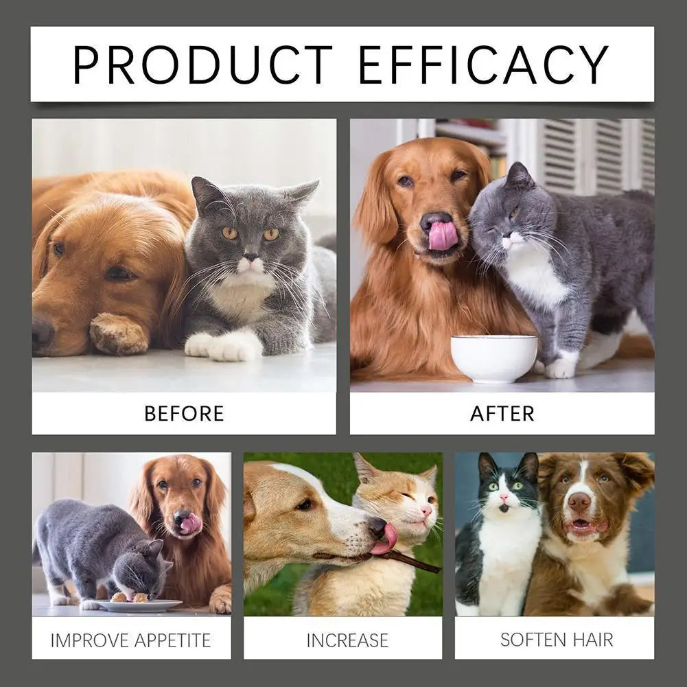 Dog Probiotic Supplement Pet Food Additive For Dogs Cats
