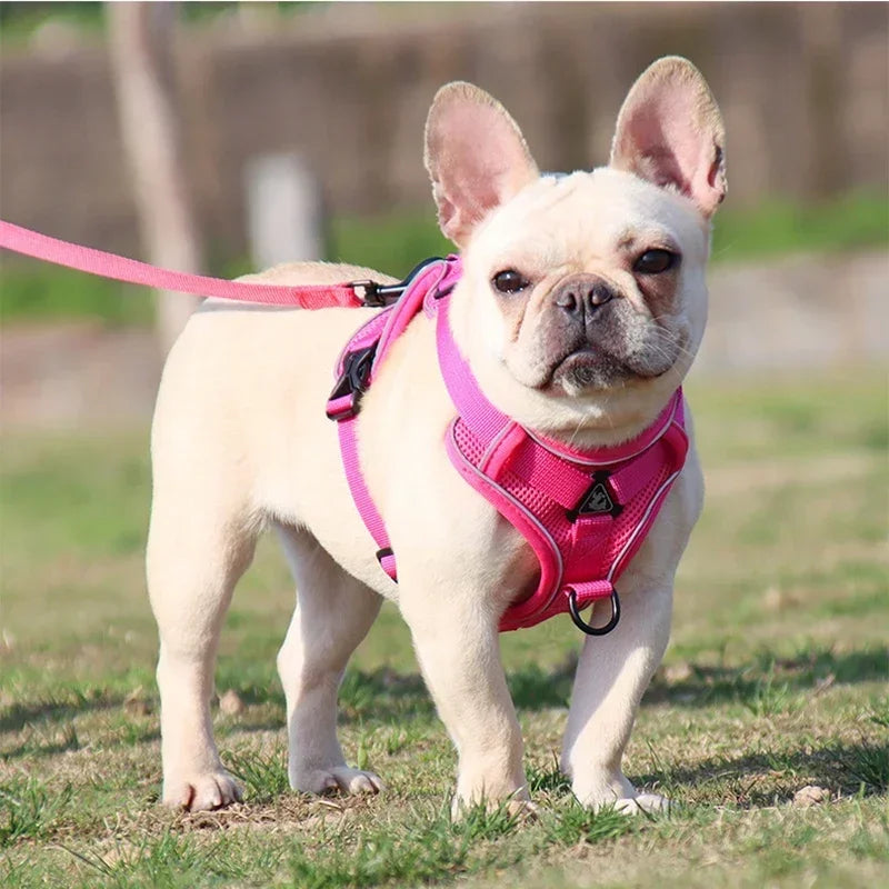 No Pull Dog Harness and Leash Set Adjustable Pet Harness Vest For Small Dogs Cats Reflective Mesh