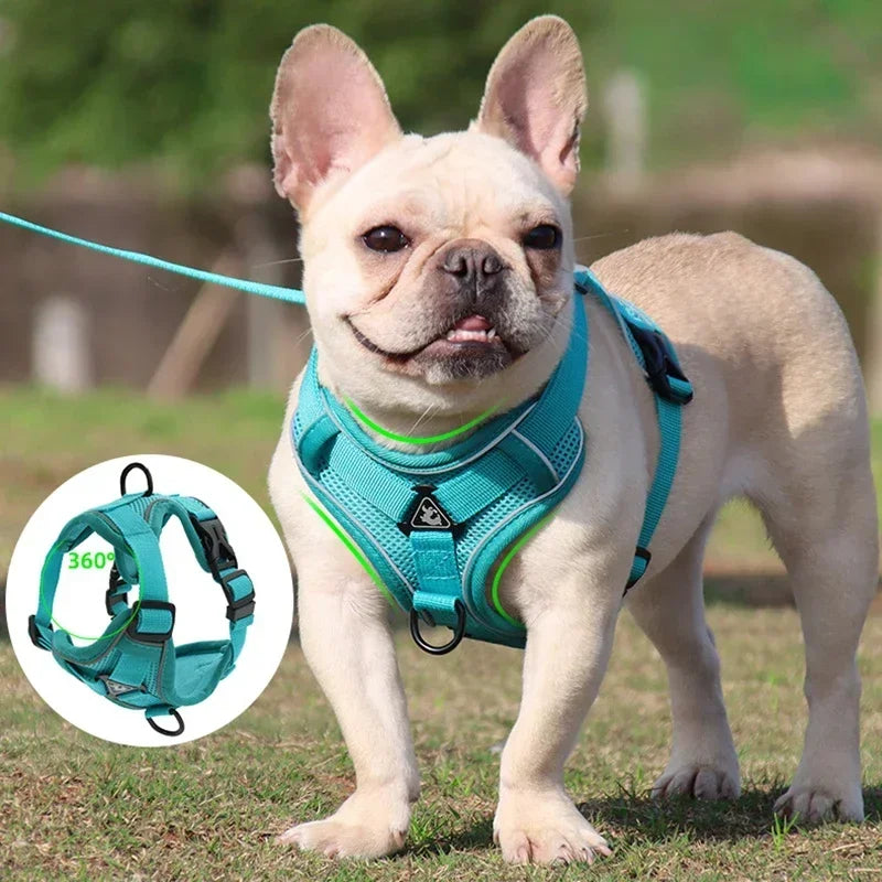 No Pull Dog Harness and Leash Set Adjustable Pet Harness Vest For Small Dogs Cats Reflective Mesh